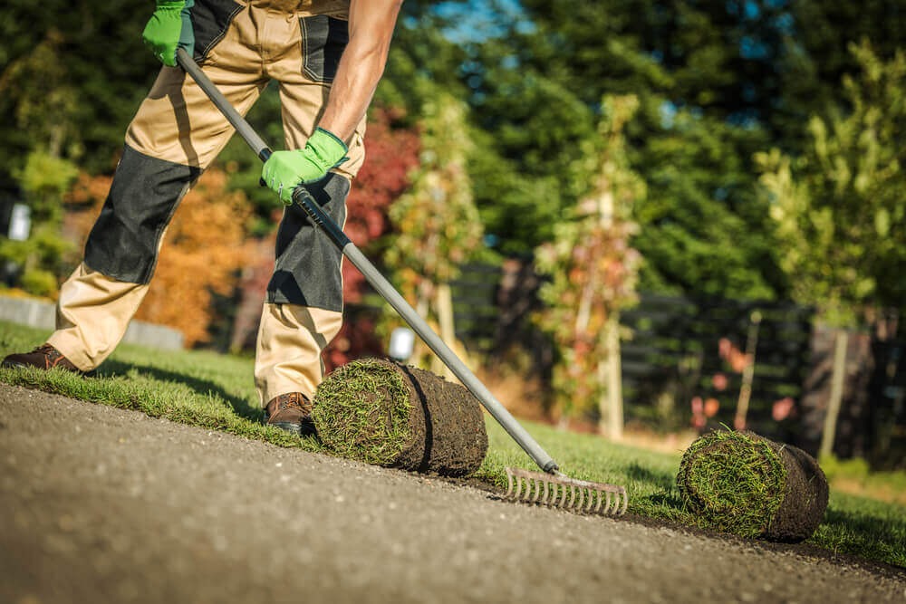 Landscaping Services Rotherham